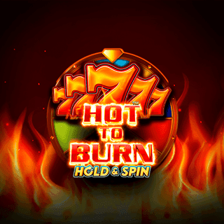 Hot to Burn Hold and Spin game cover